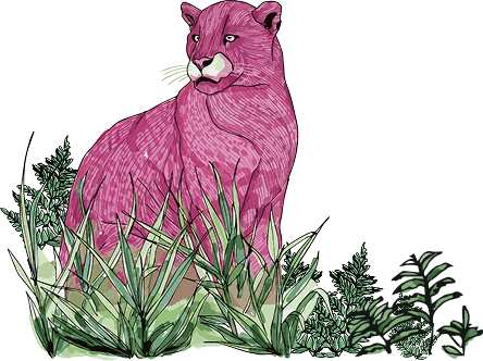 Panther