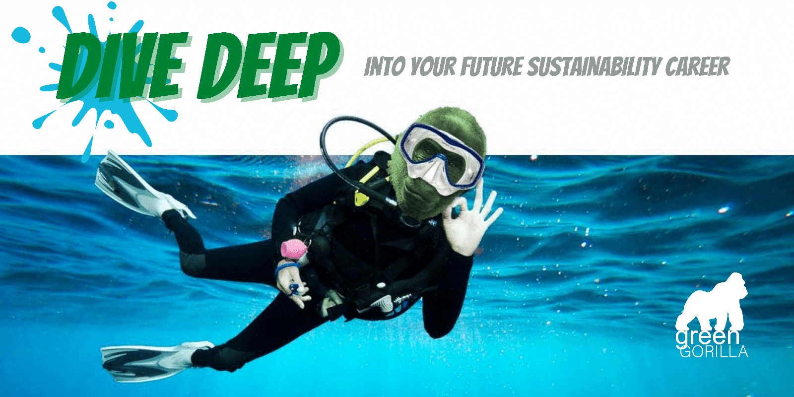 dive deep into your sustainability career