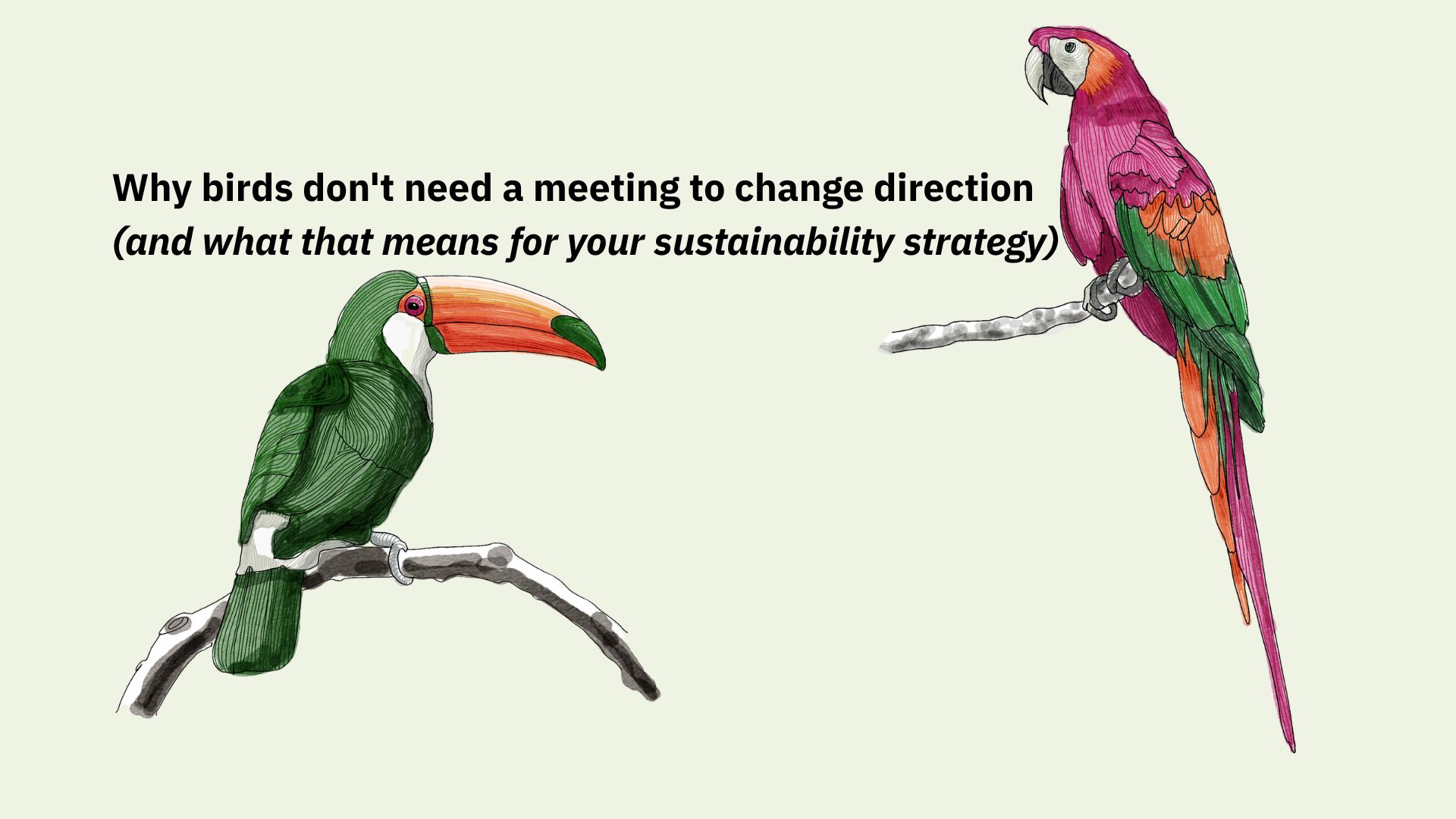 Why birds don’t need a meeting to change direction